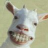 Profilbild von Chivin2