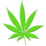 Profilbild von Weed Tweets ™