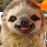 Jorge's profile picture