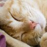 muu@華為P30 profil fotoğrafı