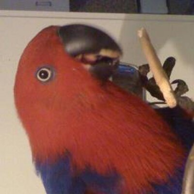 bigtesta's profile picture