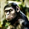 Profilbild von Cesar