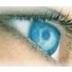 𝓑𝓲𝓪 𝓟𝓲𝓶𝓮𝓷𝓽𝓪 profil fotoğrafı