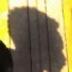 DICooper's profile picture