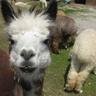 And another thing…'s profile picture