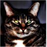 nancy laganiere's profile picture