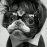 mackB's profile picture