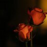 Фото профиля حَـنين