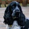 Riley_English profil fotoğrafı