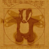 Badgersgetabadname 的头像