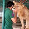 ابن العرب الأصيل 的头像