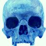 PetieM's profile picture