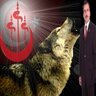 alprn_omr...'s profile picture