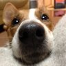 あゆみ 的头像