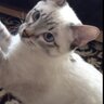 ulduz profil fotoğrafı