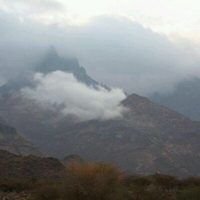 alahamdhgrop's profile picture