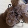 アッキー profil fotoğrafı