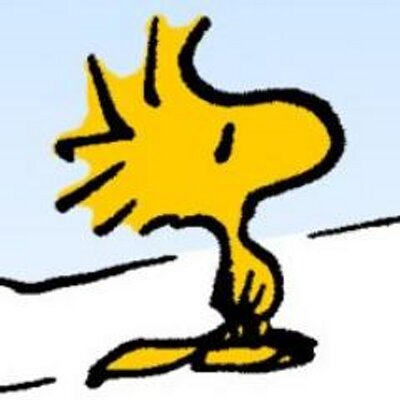 johannwegmann's profile picture
