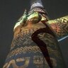 タンチ's profile picture