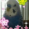 ぴーちゃん♪ profil fotoğrafı