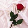 أمـل بنت عبيد🤍المدينـة profil fotoğrafı