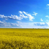 Фото профиля Free Ukraine 🇺🇦