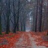 Фото профиля Ahmed164