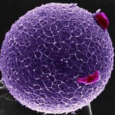 hakaner111's profile picture