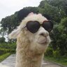 天佑之 profil fotoğrafı