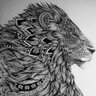 M. Angeliuss 's profile picture