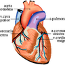 heartdoc32 profil fotoğrafı