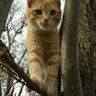 beterizm profil fotoğrafı