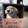BurtsDog's profile picture