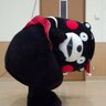 ちぃふく🦉 的头像
