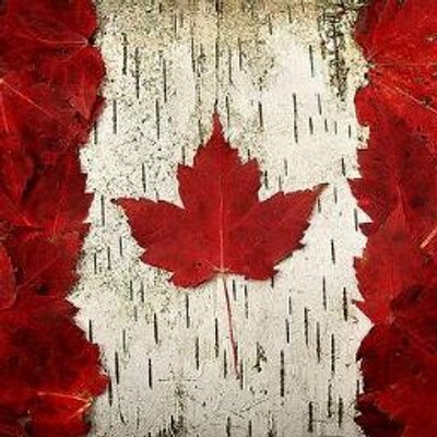 MeanwhileinCana's profile picture