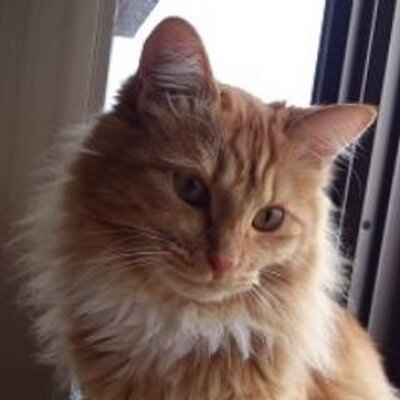 etsu510's profile picture
