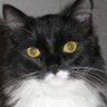 Profilbild von XOCPOB
