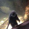 chris's profile picture