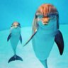 @mahalo@'s profile picture