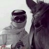 احمد الغامدي 的头像