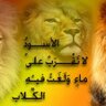 عمار العراقي 的头像