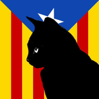El Gat Negre 🌐's profile picture