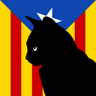El Gat Negre 🌐's profile picture