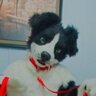 That Dog Rascal's profile picture