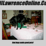 Фото профиля Bill Lawrence 4ever Anti-Feudalist