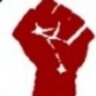 Rosa Lichtenstein's profile picture