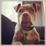 Ryan Finley's profile picture