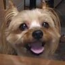 Profilbild von RIKI