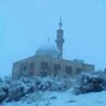 ابو محمد الرحيباني 的头像