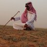 عبدالله's profile picture